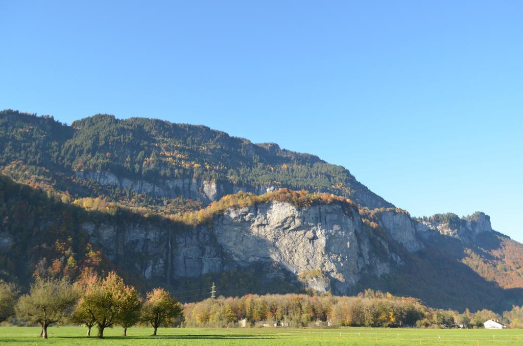 Mountain-Panorama Meiringen Exterior foto
